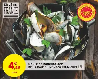 Intermarché MOULE DE BOUCHOT AOP DE LA BAIE DU MONT-SAINT-MICHEL offre