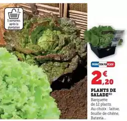 Match St hubert - margarine oméga 3 offre