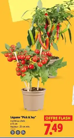 b&m St marc - pistolet avec javel offre