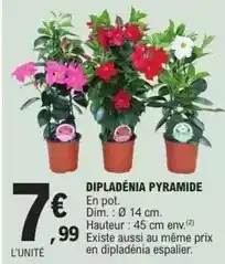 Auchan Samsung - tv led tu50cu7025 offre