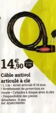 Espace emeraude Câble antivol articulé à clé offre