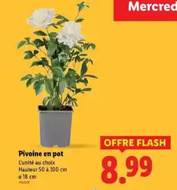 Carrefour Pessac leognan - la terrasse de la garde offre