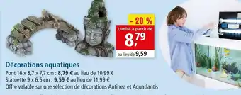 Maxi Zoo Décorations aquatiques offre