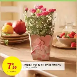 Lidl St moret offre