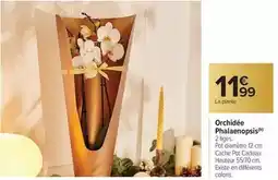 La Foir'Fouille Robe femme offre