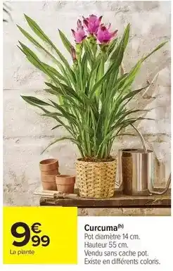 Zeeman Palette di pollo offre