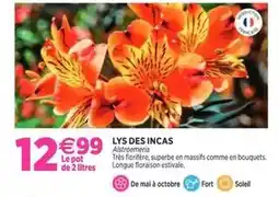Cora x Carrefour Phebus - vinaigre - prebus offre