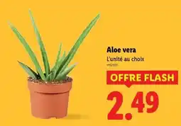 Lidl Toque du chef - riz à la cantonnaise offre