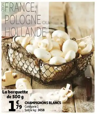 Champignons blancs