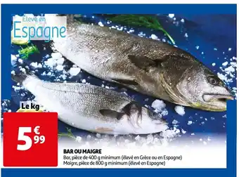 Auchan Bar ou Maigre offre