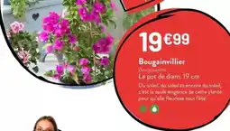 Intermarché Lutti - scoubidou fruits offre