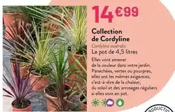 Intermarché Ferrero - couscous moyen offre
