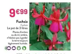 Intermarché Saint eloi - flageolets verts extra-fins offre