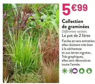 Intermarché D'aucy - haricots verts extra fins offre