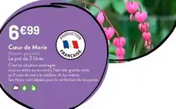 Intermarché Carte noire - café moulu classique offre