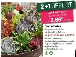 Intermarché Senseo - dosettes 2x60 classique offre