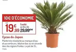 Centrakor Le rangement bambou offre