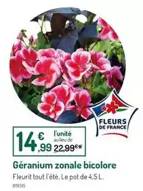 Centrakor Tables basses colorado offre