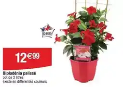 Carrefour Market Tex - pantoufle adulte offre