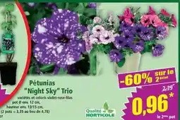 Carrefour Market Sundis - lot de 3 malles de rangement à roulettes 75l offre