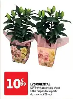 Carrefour Brosse salée et sechee offre