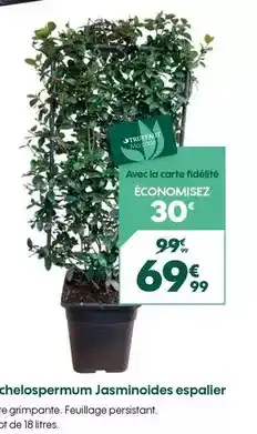 Auchan Actuel - la casserole 20cm offre