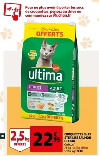 Croquettes chat