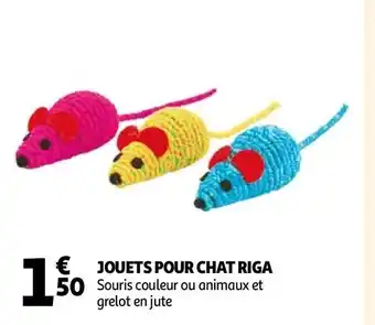 Jouets pour riga