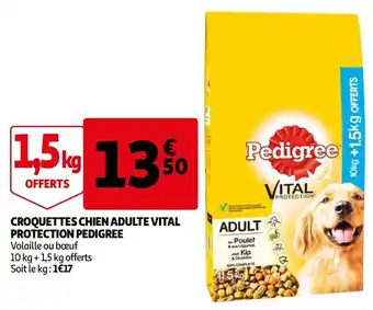 Auchan Croquettes chien adulte vital offre
