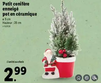 Lidl Petit conifère enneige pot en céramique offre