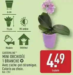 E.Leclerc Clément - clement - le prelat de pape offre