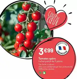 Auchan Supermarché Erhard - dessert glace foret noire offre