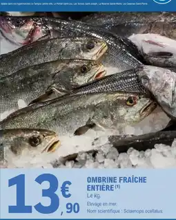 La Foir'Fouille Lampe camille offre