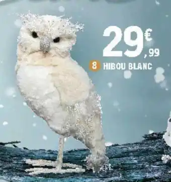 E.Leclerc Hibou blanc offre