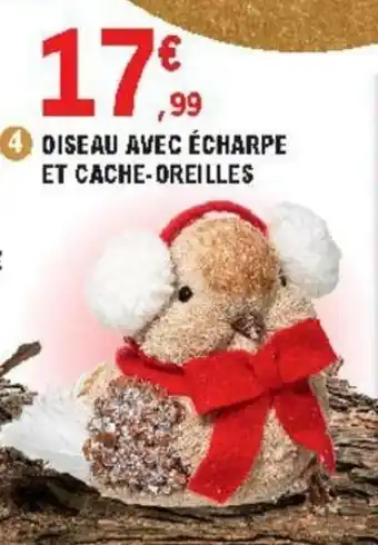 Diseau avec écharpe et cache-oreilles