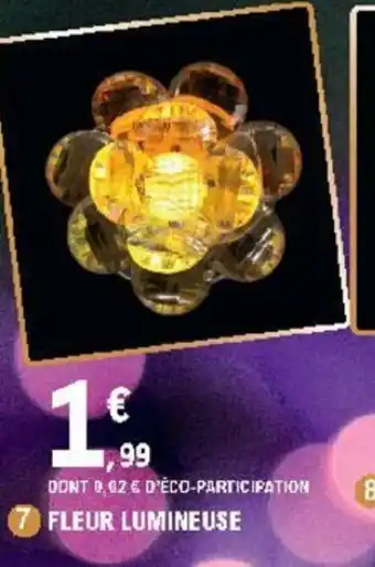 E.Leclerc Fleur Lumineuse offre