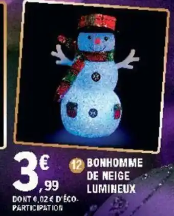 Bonhomme de Neige Lumineux