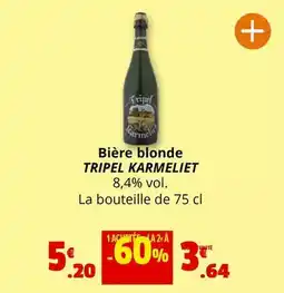 La Foir'Fouille Kokoon - plante grasse offre