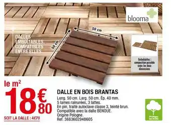 Brico Dépôt Dalle En Bois Brantas offre