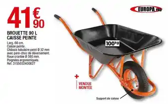 Brouette 90 L Caisse Peinte