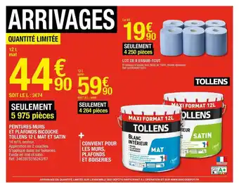 Brico Dépôt Peintures Murs Et Plafonds Bicouche Tollens 12 L Mat Et Satin, Lot De 6 Essuie-tout offre