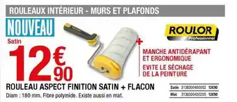 Brico Dépôt Rouleau Aspect Finition Satin + Flacon Roulor offre