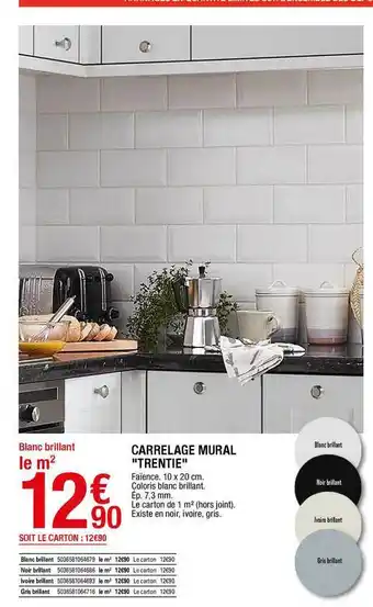Brico Dépôt Carrelage Mural offre