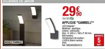 Brico Dépôt Applique offre