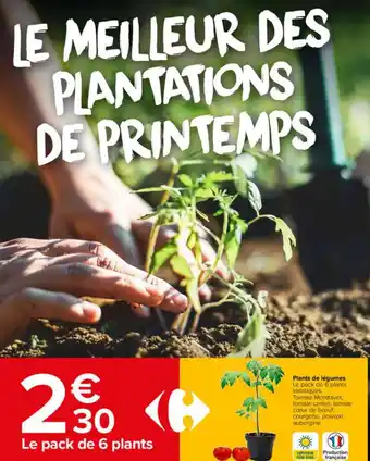 Carrefour Market Plants Légumes offre