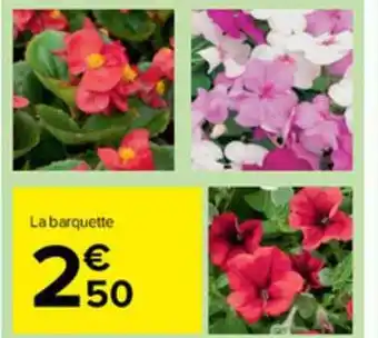 Carrefour Market La Barquette offre