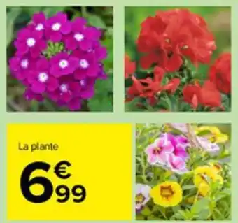 Carrefour Market La Plante offre