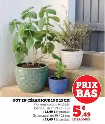 Carrefour Drive Plantes grimpantes offre