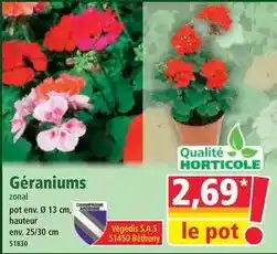 b&m Boule a neige gnome offre