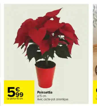 Carrefour Poinsettia offre